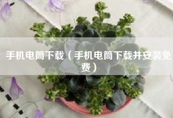 手机电筒下载（手机电筒下载并安装免费）