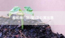 都柏林11区1室1卫公寓出售