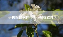 手机编程软件（phyon编程软件）