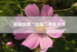 徽商加速“出海”布局全球