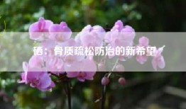硒：骨质疏松防治的新希望