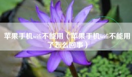 苹果手机wifi不能用（苹果手机wifi不能用了怎么回事）