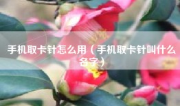 手机取卡针怎么用（手机取卡针叫什么名字）