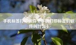 手机标签打印软件（手机打印标签的软件叫什么）