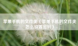 苹果手机的文件夹（苹果手机的文件夹怎么设置密码）