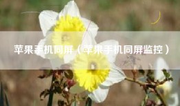 苹果手机同屏（苹果手机同屏监控）