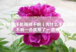 为什么手机闹钟不响（为什么手机闹钟不响一会就停了,一直响）