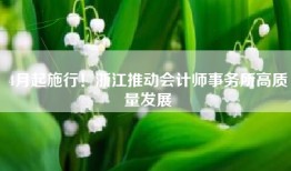 4月起施行！浙江推动会计师事务所高质量发展