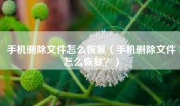 手机删除文件怎么恢复（手机删除文件怎么恢复？）