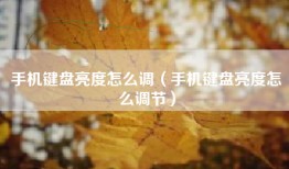 手机键盘亮度怎么调（手机键盘亮度怎么调节）