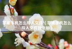 苹果手机怎么导入文件（苹果手机怎么导入文件到电脑）