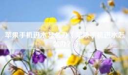 苹果手机进水怎么办（苹果手机进水怎么办？）