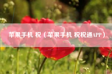 苹果手机 税（苹果手机 税税通APP）