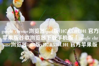 google chrome浏览器ipad版v107.0.5304.101 官方苹果版谷歌浏览器下载手机版「google chrome浏览器ipad版v107.0.5304.101 官方苹果版」