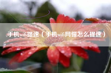 手机wifi提速（手机wifi网慢怎么提速）