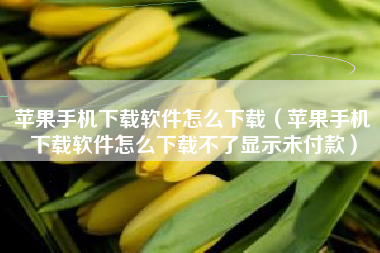 苹果手机下载软件怎么下载（苹果手机下载软件怎么下载不了显示未付款）