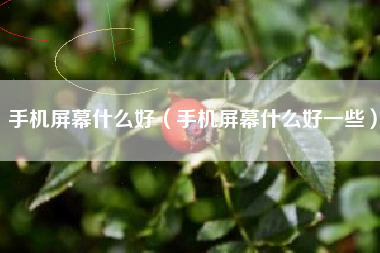 手机屏幕什么好（手机屏幕什么好一些）