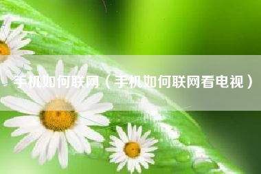 手机如何联网（手机如何联网看电视）