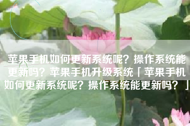 苹果手机如何更新系统呢？操作系统能更新吗？苹果手机升级系统「苹果手机如何更新系统呢？操作系统能更新吗？」